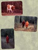 Hunting-Years-Page-28