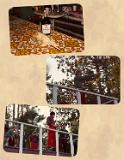 Hunting-Years-Page-8
