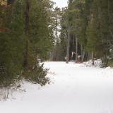 DSC05364