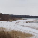 DSC05417