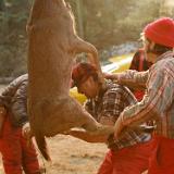 hunting1975 005