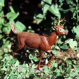 hunting1980 022