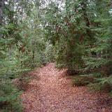 hunting2001 027