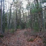 hunting2001 032