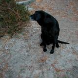 hunting2001 039