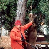 hunting 017
